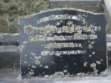 image number 3